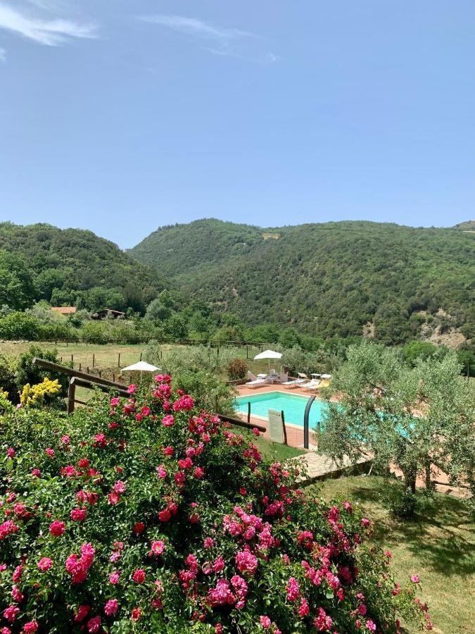 Podere Le Mulina Castiglione d'Orcia Bagian luar foto