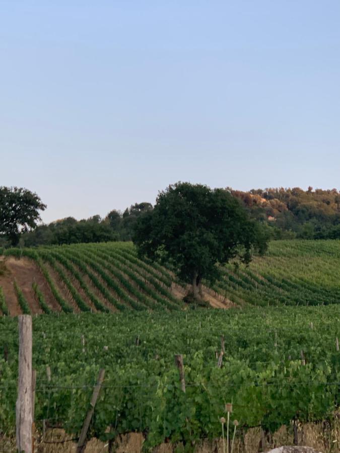 Podere Le Mulina Castiglione d'Orcia Bagian luar foto
