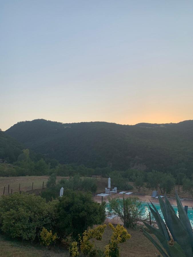Podere Le Mulina Castiglione d'Orcia Bagian luar foto